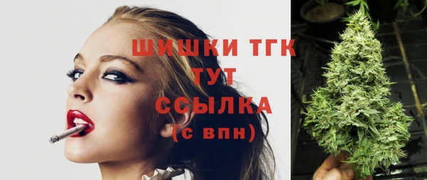 ПСИЛОЦИБИНОВЫЕ ГРИБЫ Горняк