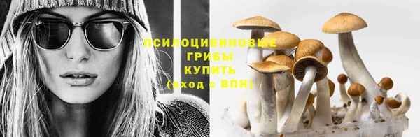СК Горнозаводск