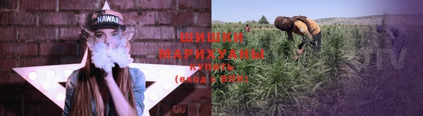 ПСИЛОЦИБИНОВЫЕ ГРИБЫ Горняк