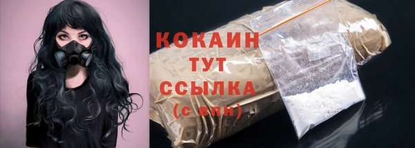 СК Горнозаводск