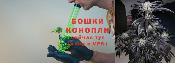 ECSTASY Дмитриев