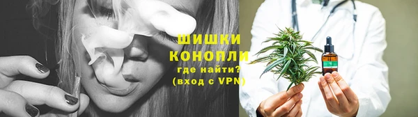 мдпв Дмитровск
