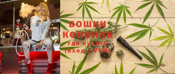 СК Горнозаводск