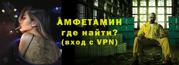 ПСИЛОЦИБИНОВЫЕ ГРИБЫ Горняк