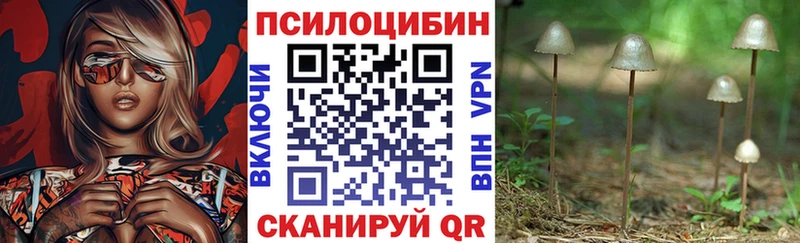где продают   Дмитров  мориарти формула  Галлюциногенные грибы мицелий 